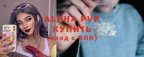 молекула духа Балахна