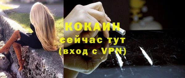 молекула духа Балахна