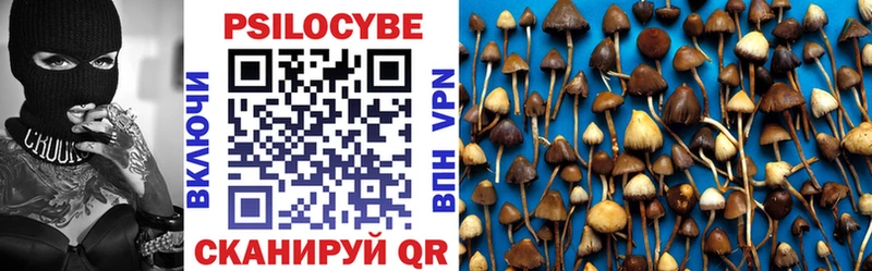 сайты даркнета состав  Теберда  Псилоцибиновые грибы Cubensis 