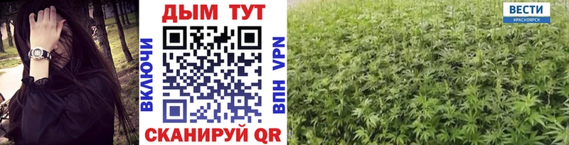 Каннабис AK-47  дарнет шоп  Теберда 